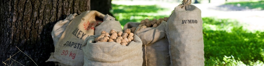 Myrtleford, Food Myrtleford, Food