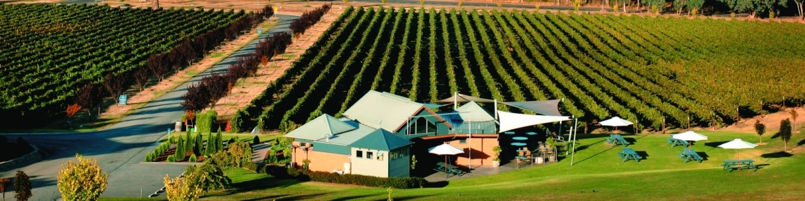 FWB-Wine(vineyard)-Gapsted-4x1 Myrtleford, Wine