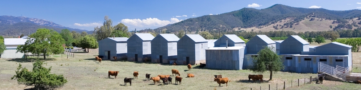 Building-Farmsted-Summer-4x1 Myrtleford, Getting Here