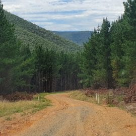 4WD pines myrtleford 16_9