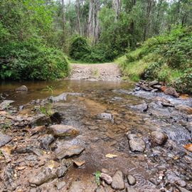 4WD river myrtleford 16_9