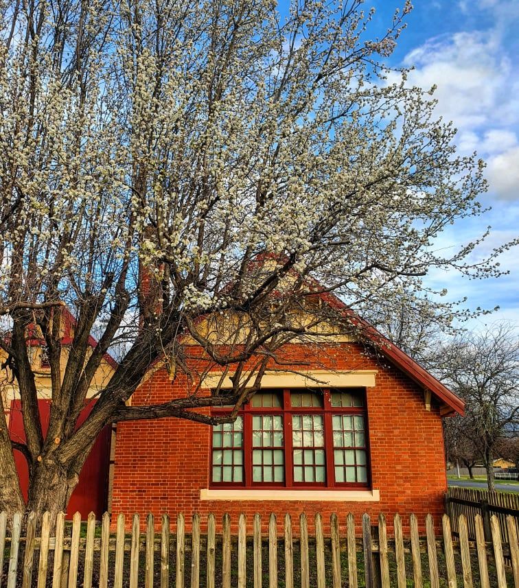 Myrtleford Museum