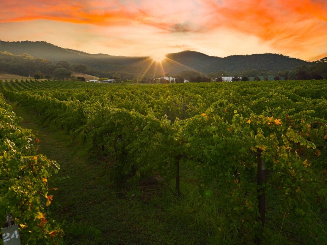 Markets to visit in Myrtleford, Victoria's High Country