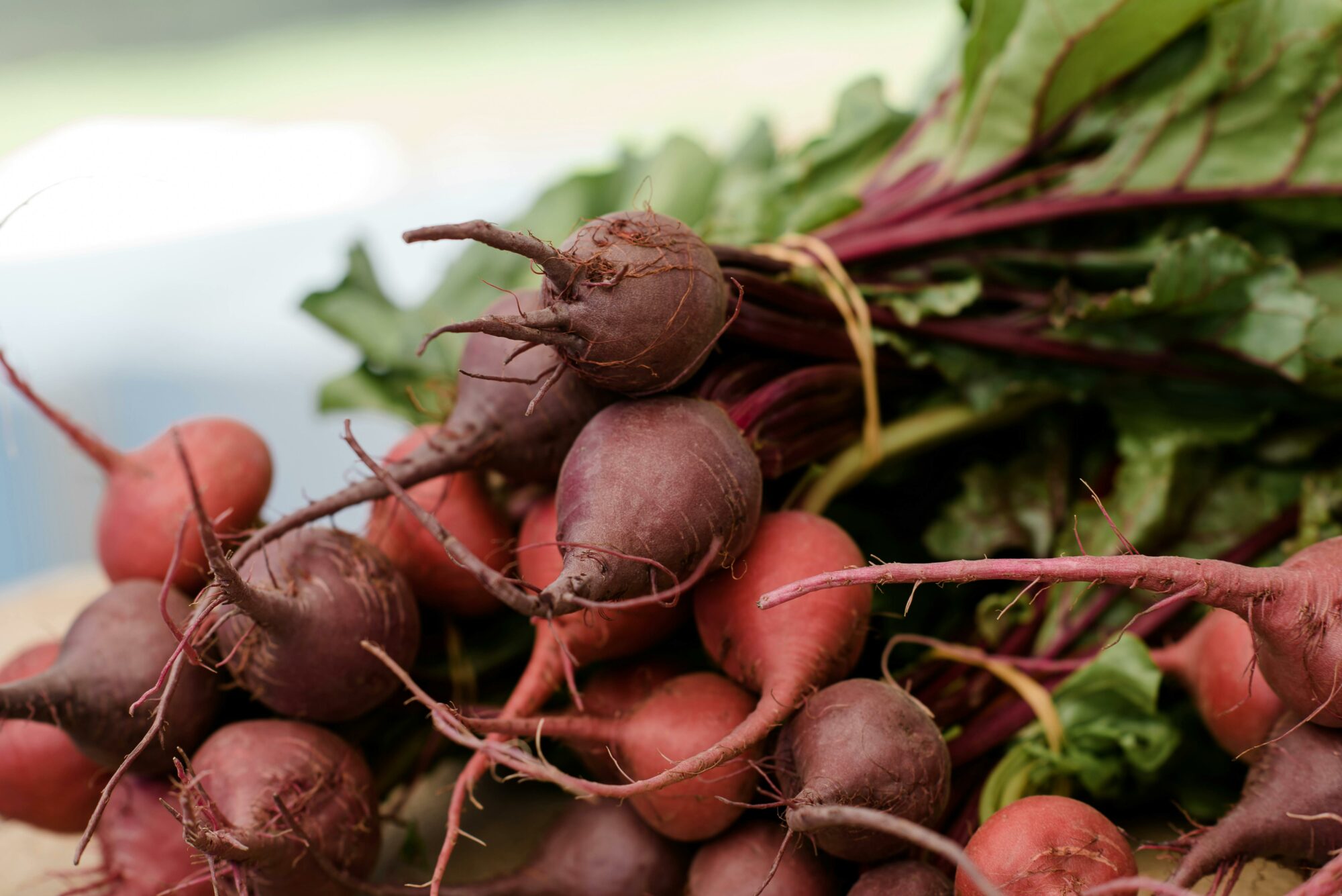 Myrtleford Farmers Market