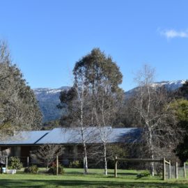 House with mountain view