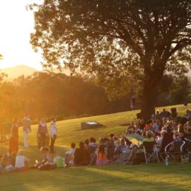 Shakespeare in the Vines at Gapsted Wines