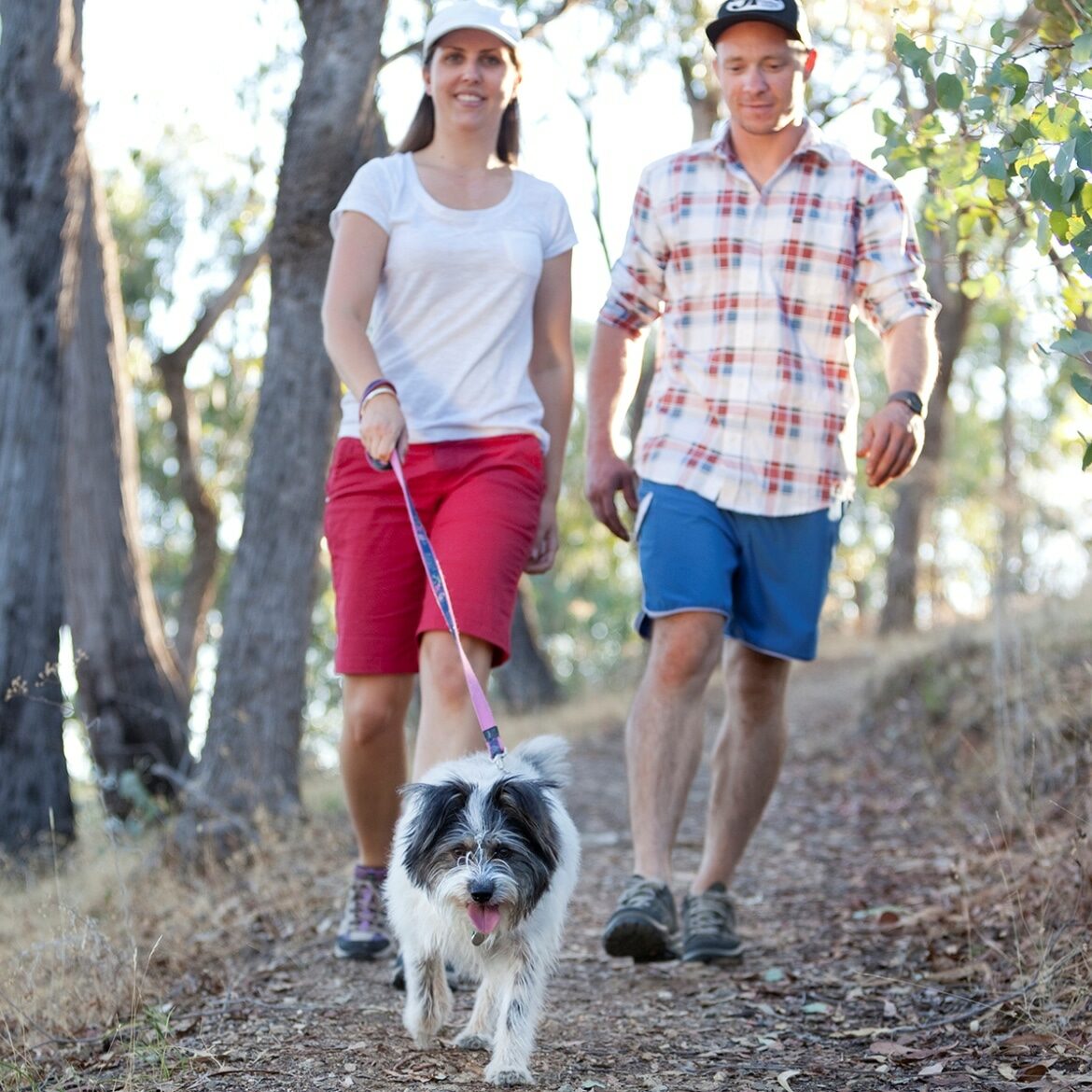 Myrtleford, Walks & Trails