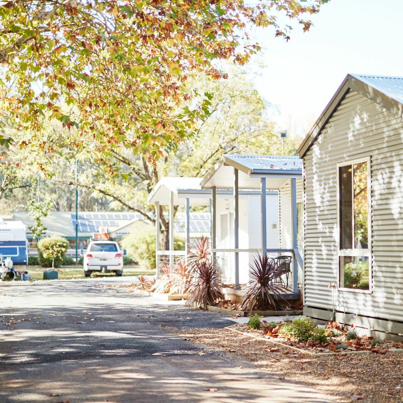 accom park Myrtleford autumn 4_3