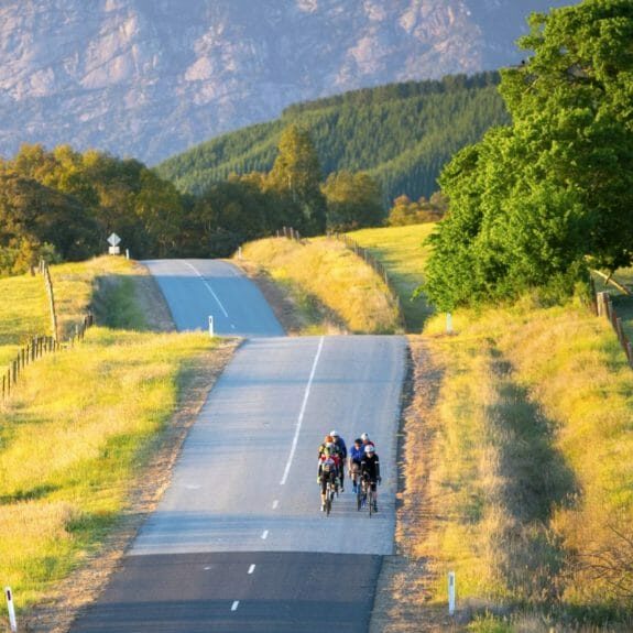 cycle road happy valley myrtleford spring 16_9