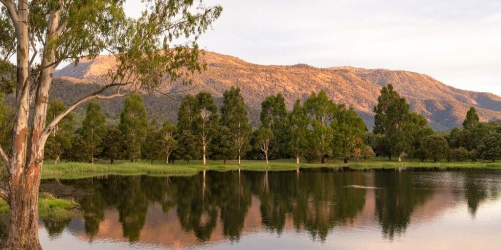 lake buffalo myrtleford spring 16_9