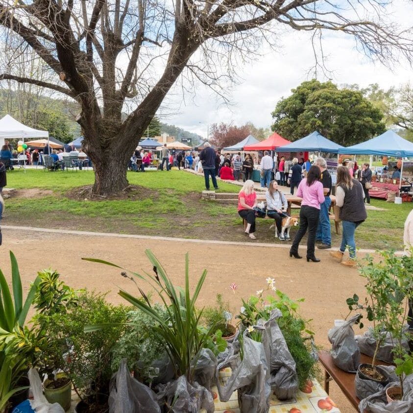 market myrtleford spring 16_9