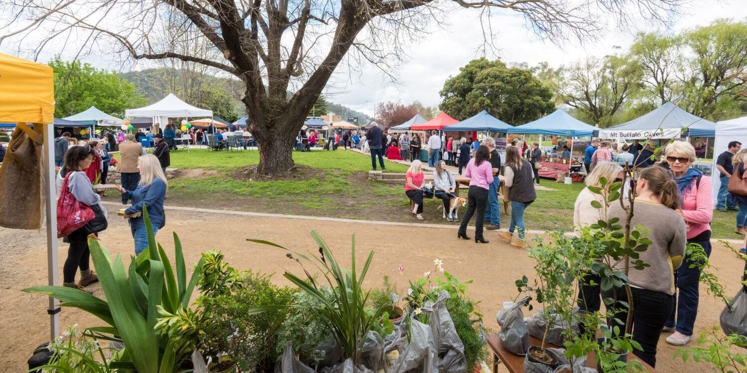 market myrtleford spring 16_9