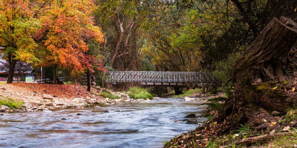 river bridge harrietville autumn 16_9