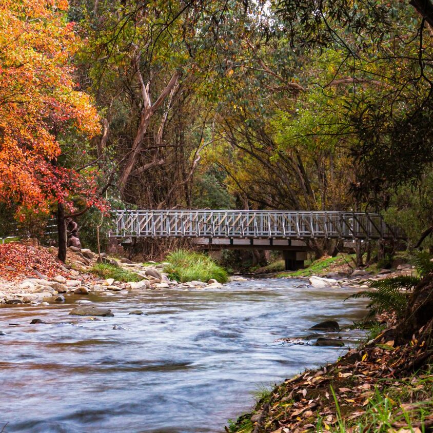 river bridge harrietville autumn 16_9