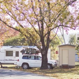 camping holiday park myrtleford 1_1