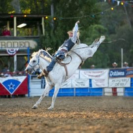 event rodeo myrtleford 1_1