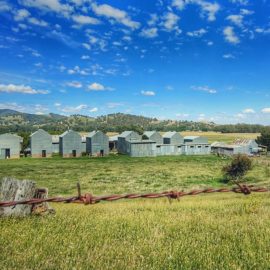 farm myrtleford summer 16_9