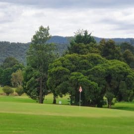 golf myrtleford 1_1