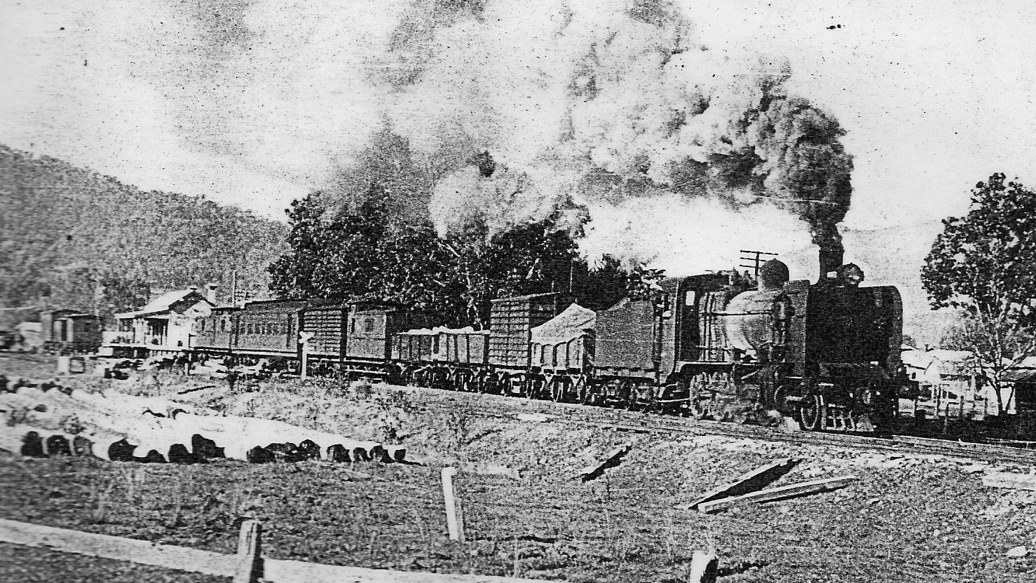 history railway myrtleford 16_9