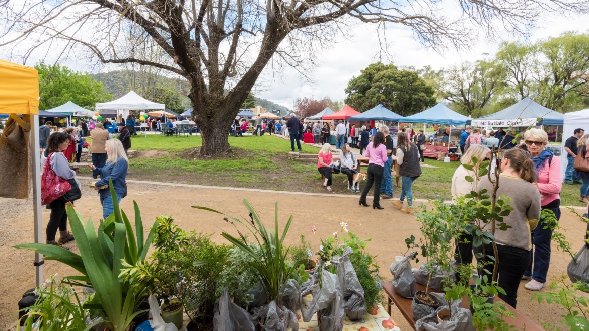 myrtleford farmers market winter Myrtleford Farmers Market