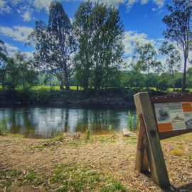 swim nemo bridge myrtleford 16_9 summer