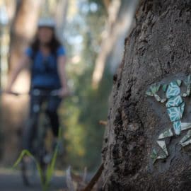 walk mosaic trail myrtleford 16_9